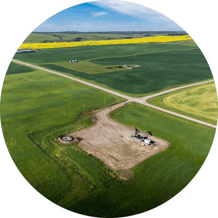 Ground is full of green