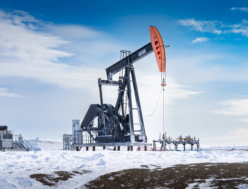 Minimize risks image